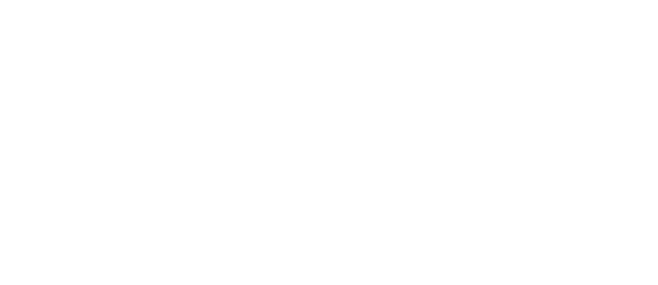 logo Università di Torino